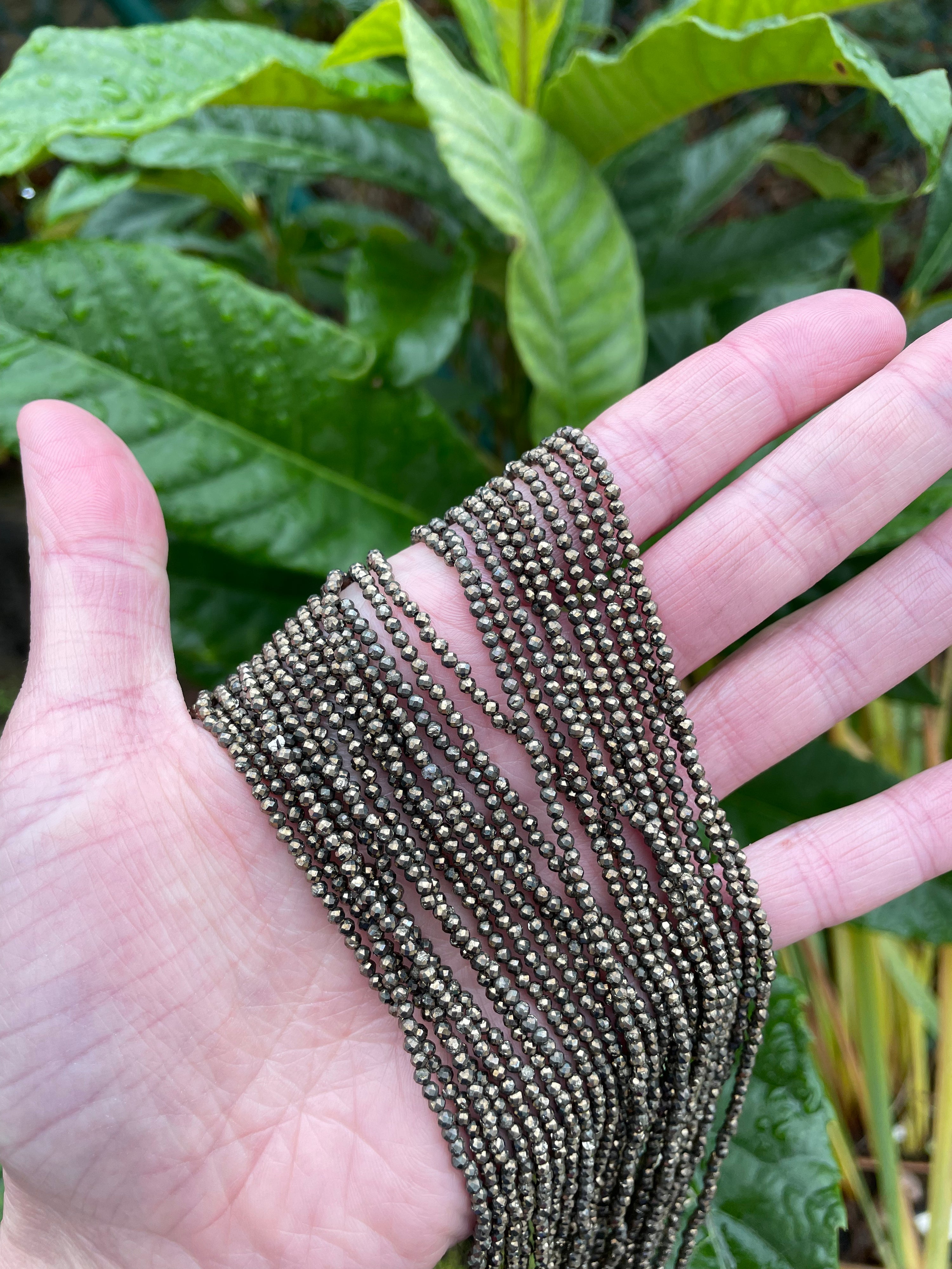 Pyrit Pherina